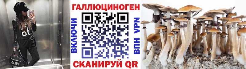 Псилоцибиновые грибы Magic Shrooms  купить закладку  Черкесск 