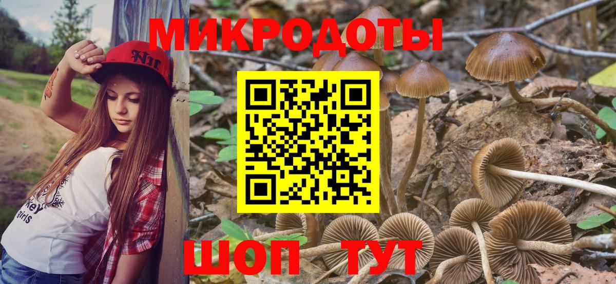Черкесск  Галлюциногенные грибы Psilocybe  Вход с VPN 